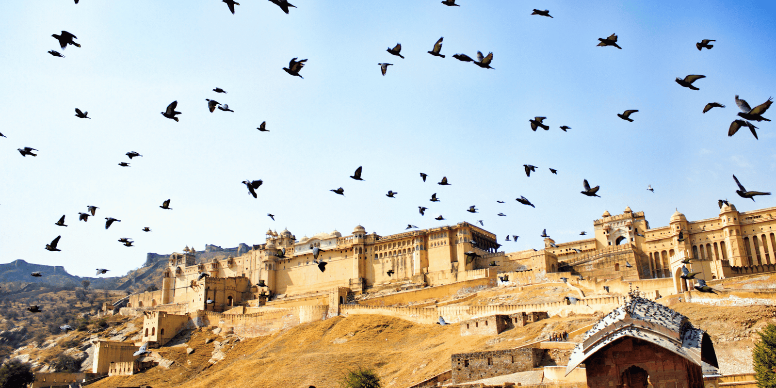 Moscow to India trip