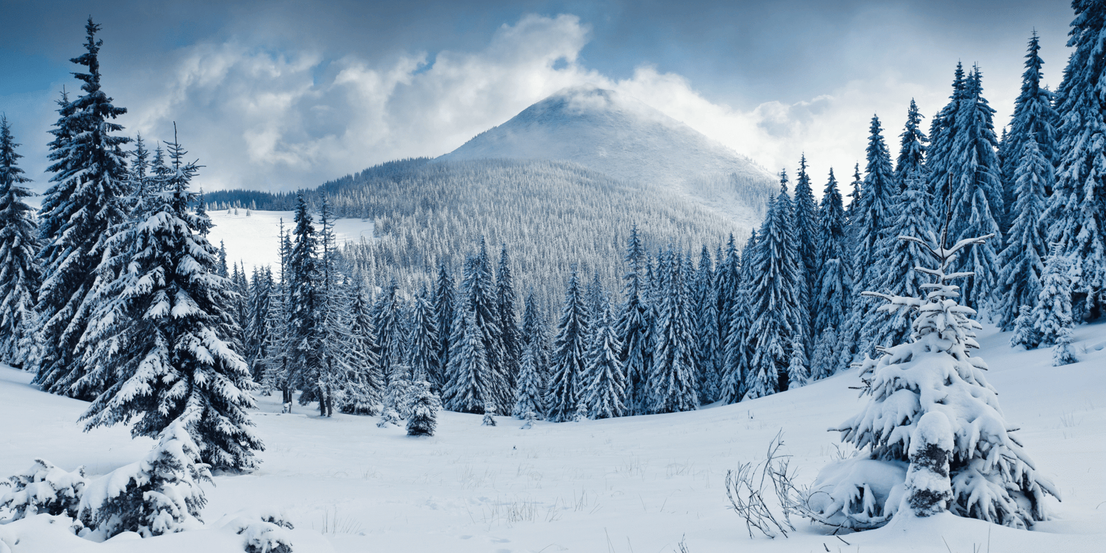 Russia to India trip